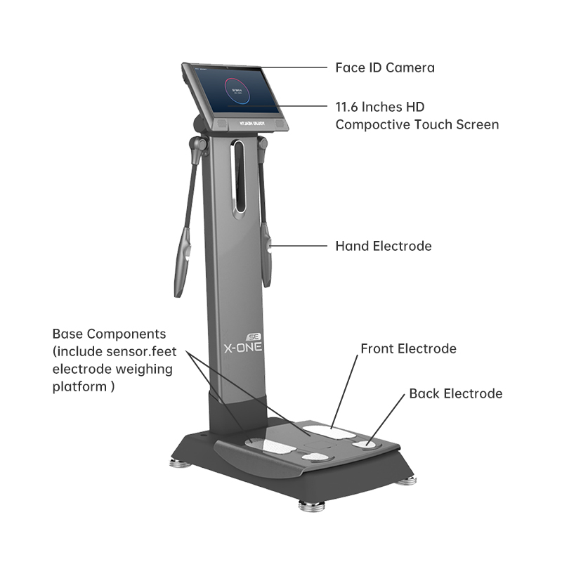 X ONE SE ボディマッサージャー 全身フィットネス栄養 - Nutrition For Fitness Training のレビューと価格