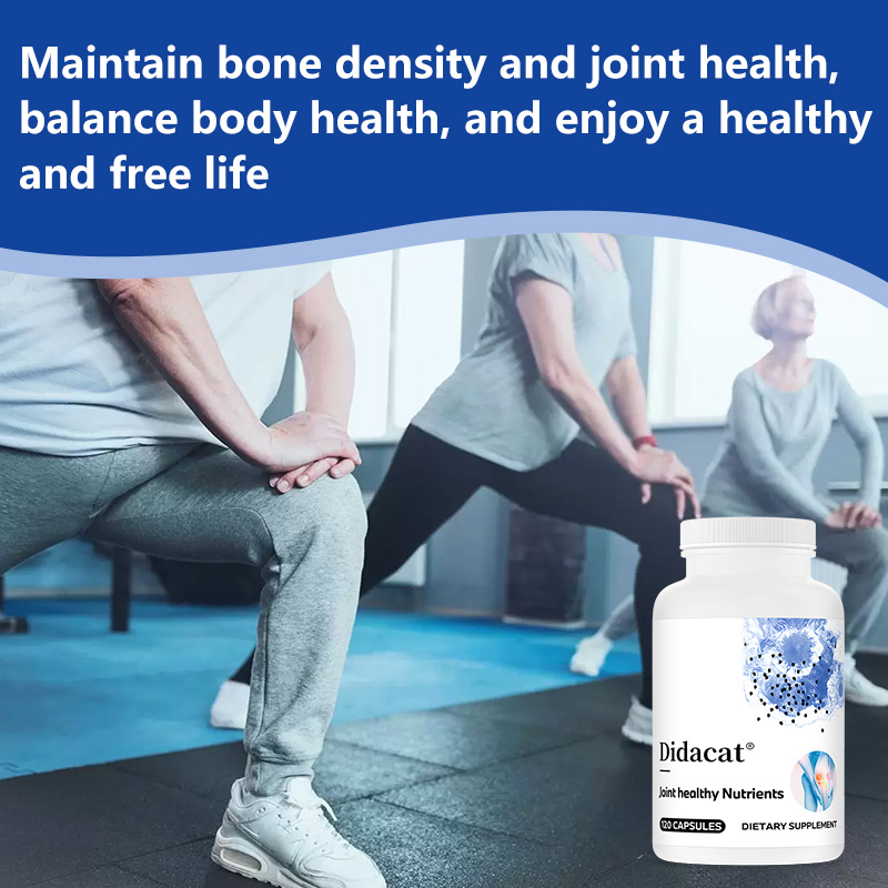 グルコサミン コンドロイチン MSM ウコン配合 - 関節の - Glucosamine Chondroitin Joint のレビューと価格