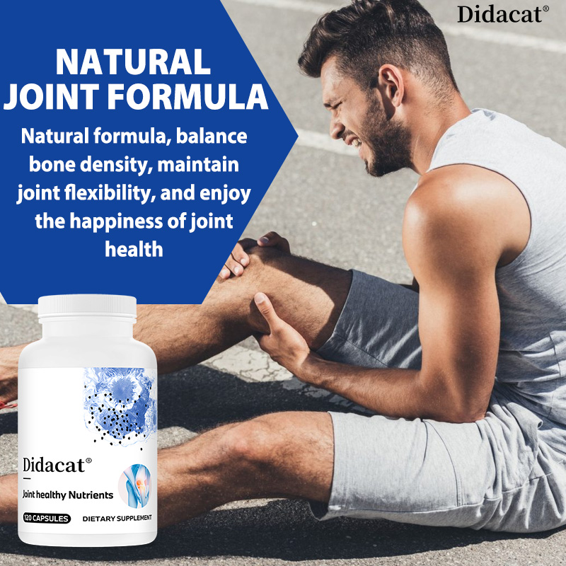 グルコサミン コンドロイチン MSM ウコン配合 - 関節の - Glucosamine Chondroitin Joint のレビューと価格