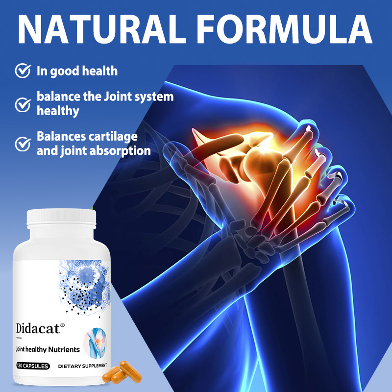 グルコサミン コンドロイチン MSM ウコン配合 - 関節の - Glucosamine Chondroitin Joint のレビューと価格