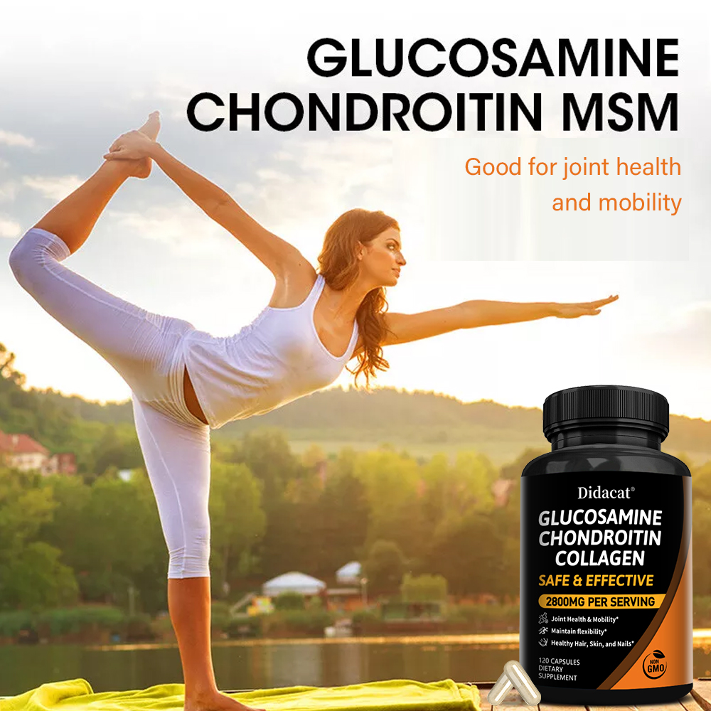 グルコサミン・コンドロイチン複合体（MSM配合）、関節サポー - Glucosamine Chondroitin Joint のレビューと価格